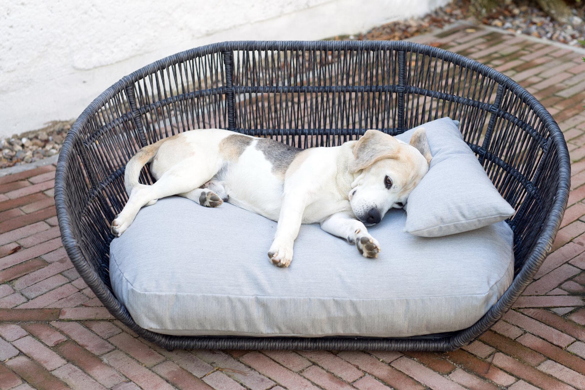 PRADO - Design-Hundebett CHIC