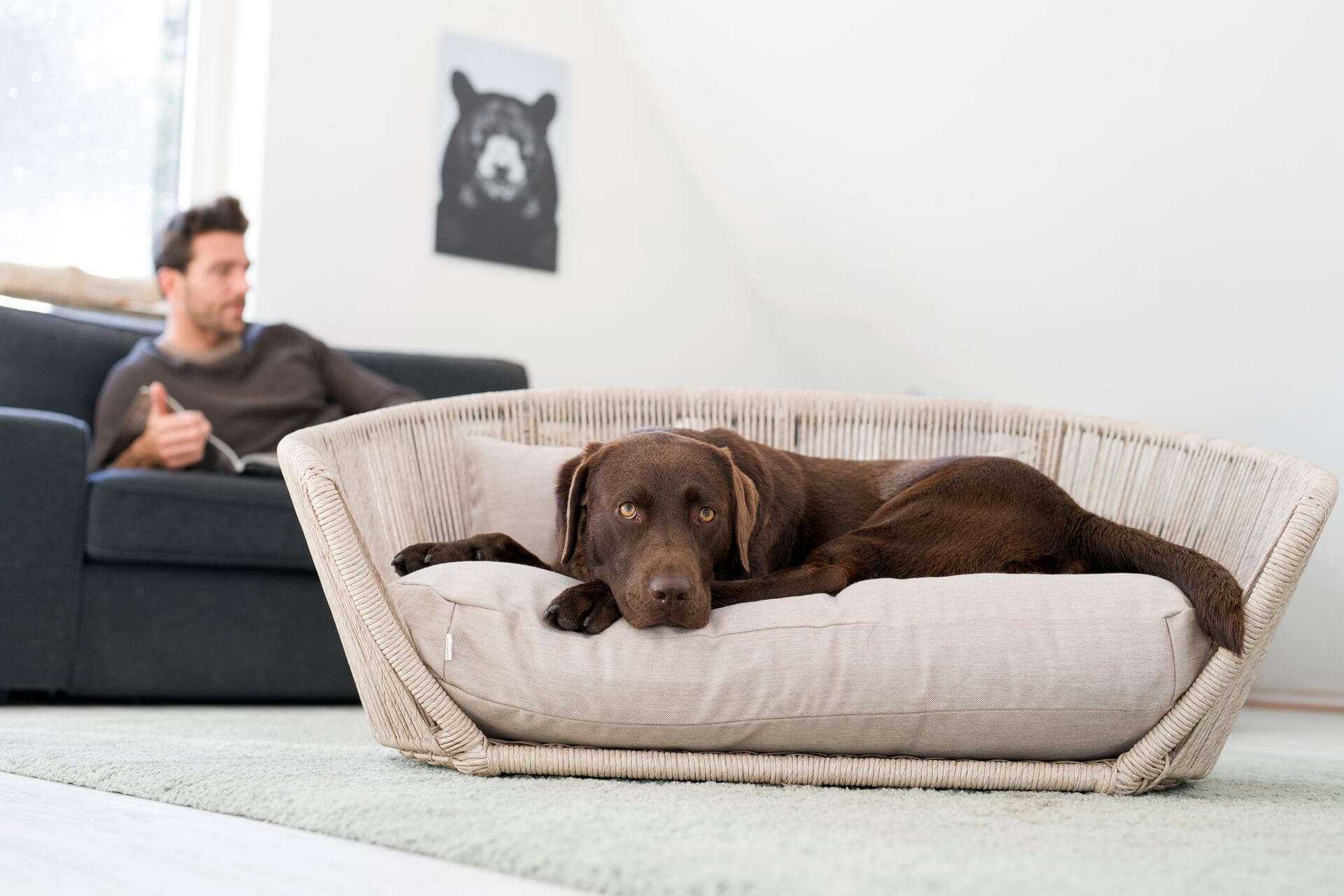 VOGUE - Design-Hundebett SMOOTH – Lino