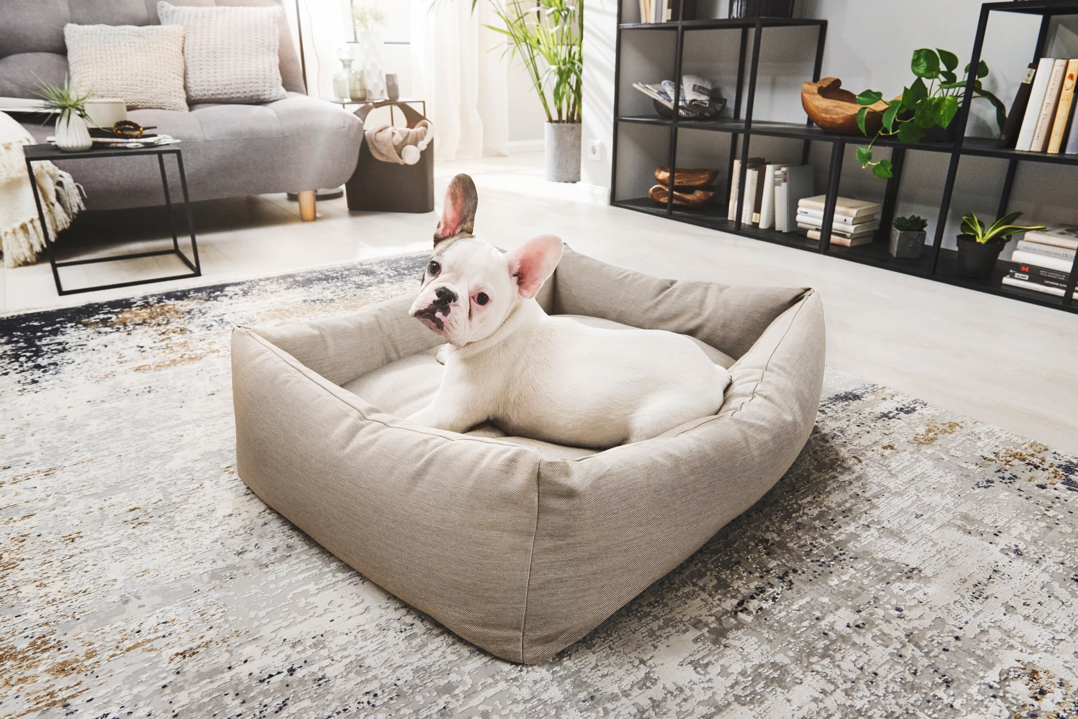 ORTHO Hundebett - SMOOTH
