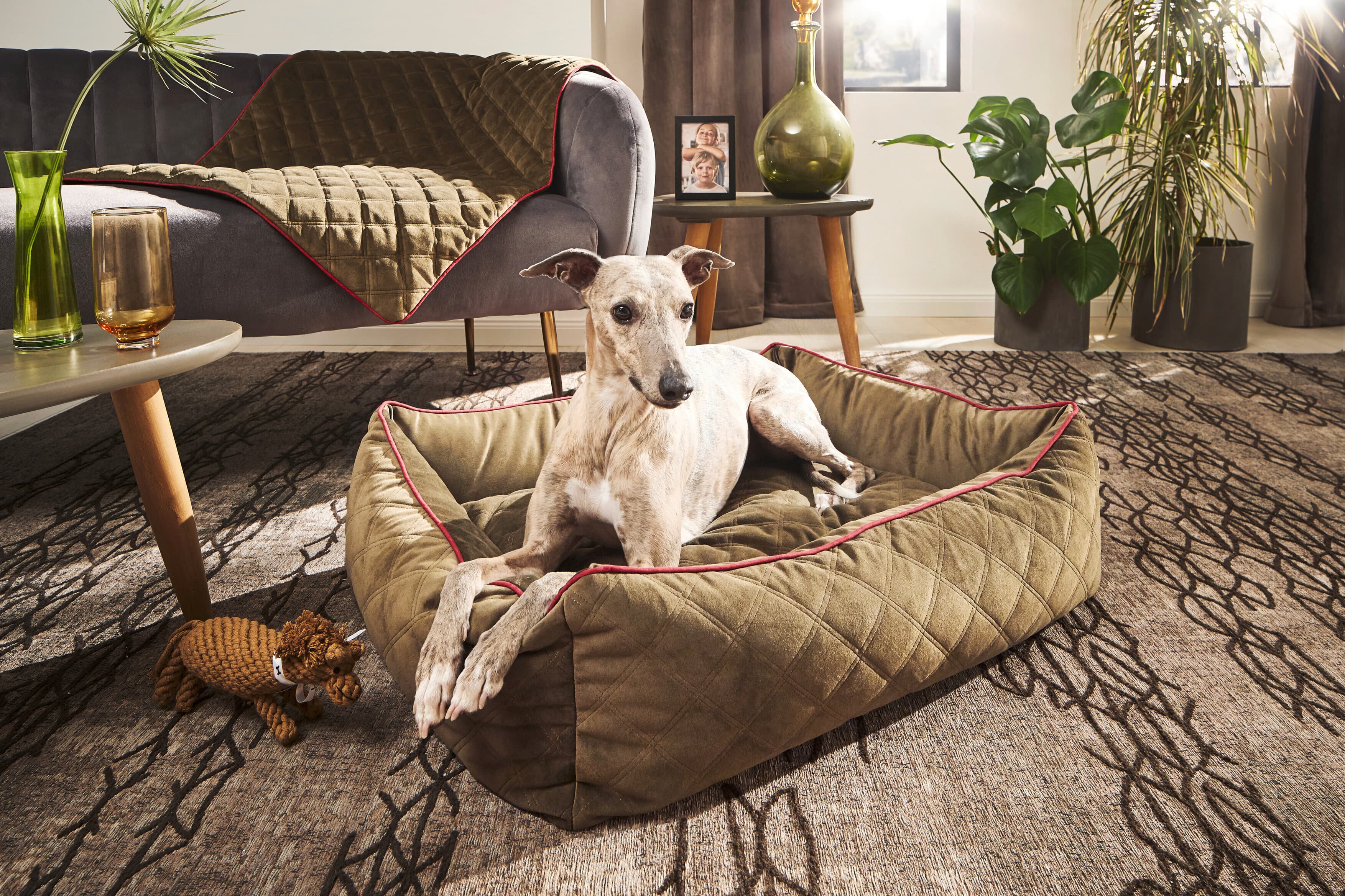 CLASSIC Hundebett - OXFORD