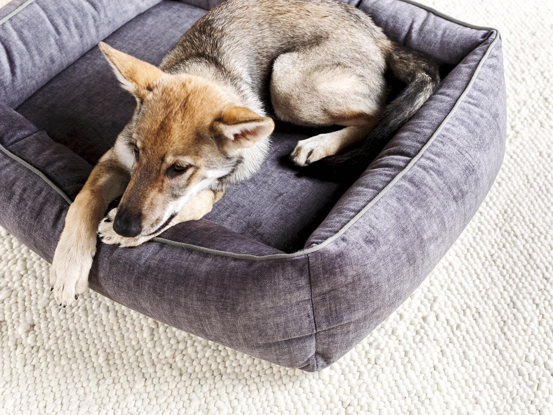 ORTHO Hundebett - GLAM