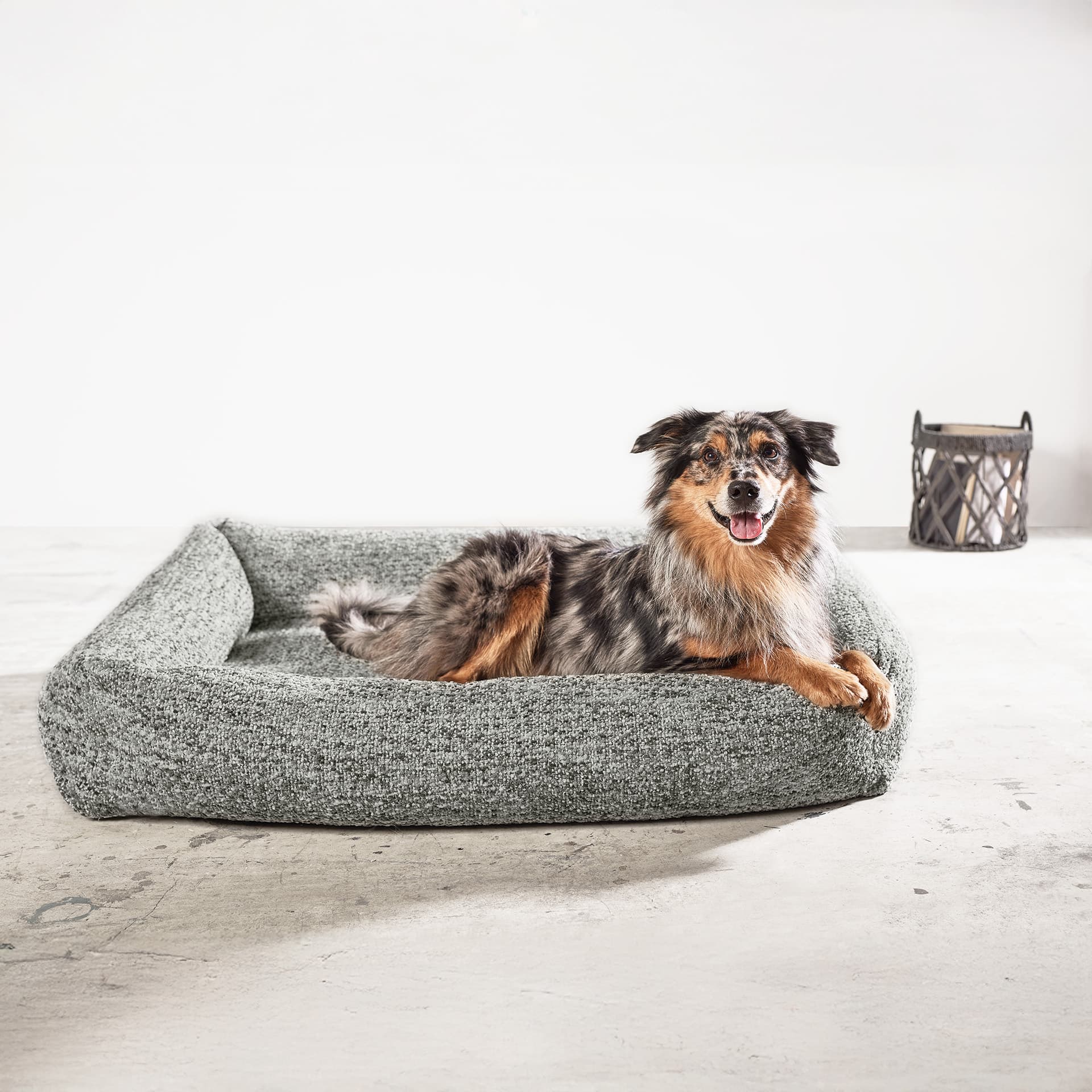 ORTHO Hundebett - SIENA – Nebula