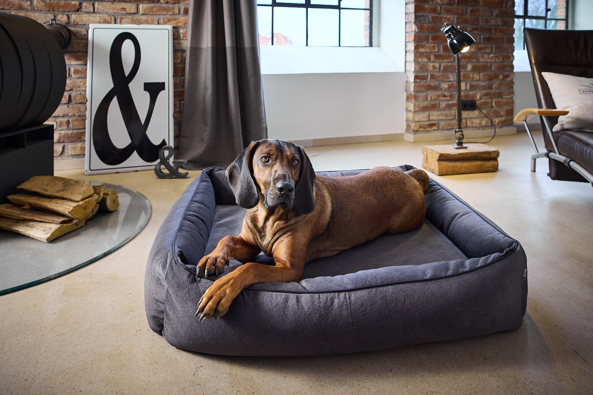 ORTHO Hundebett - BUFFALO