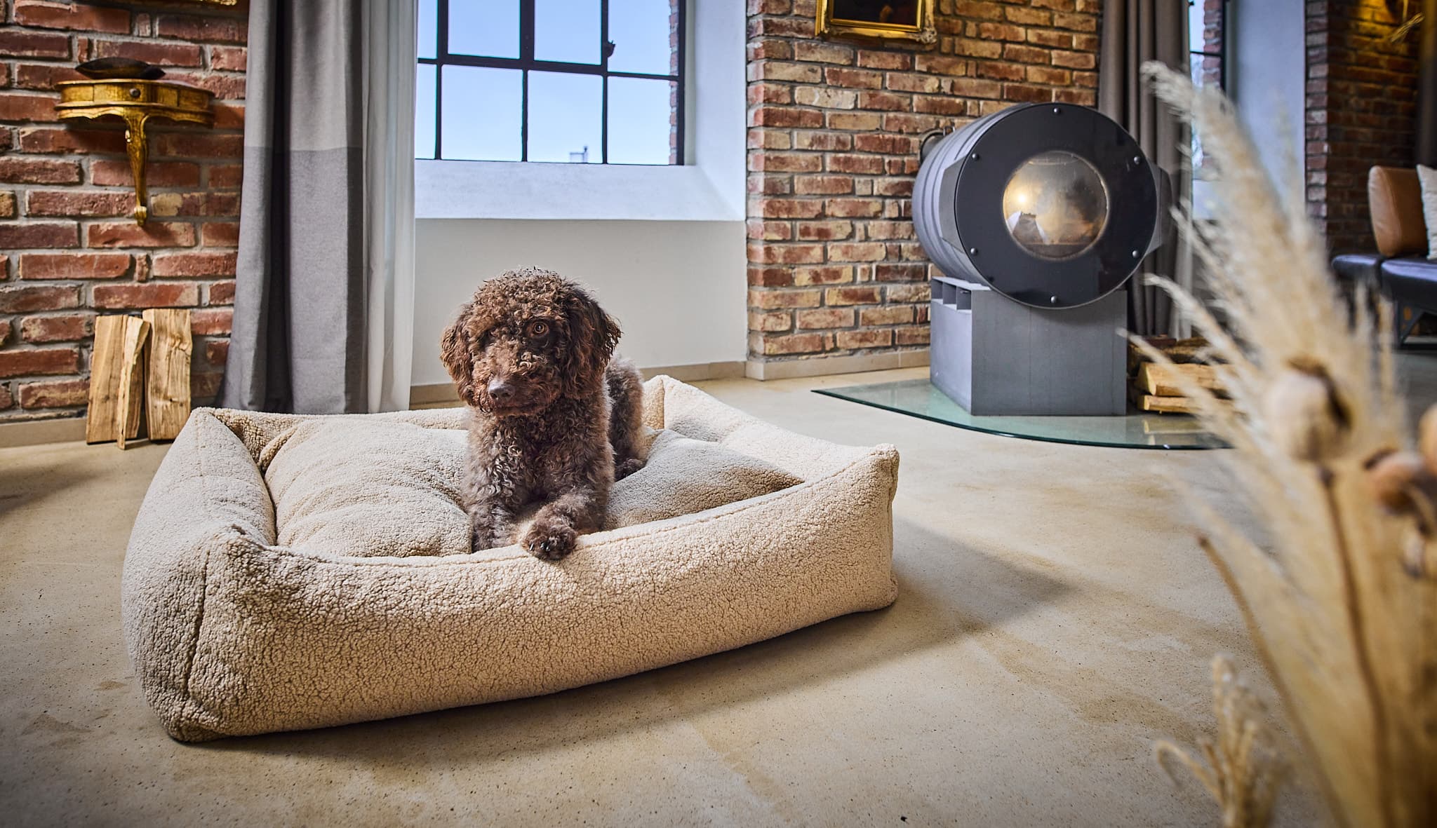 Hund in einem cremefarbenen LABONI TEDDY Hundebett