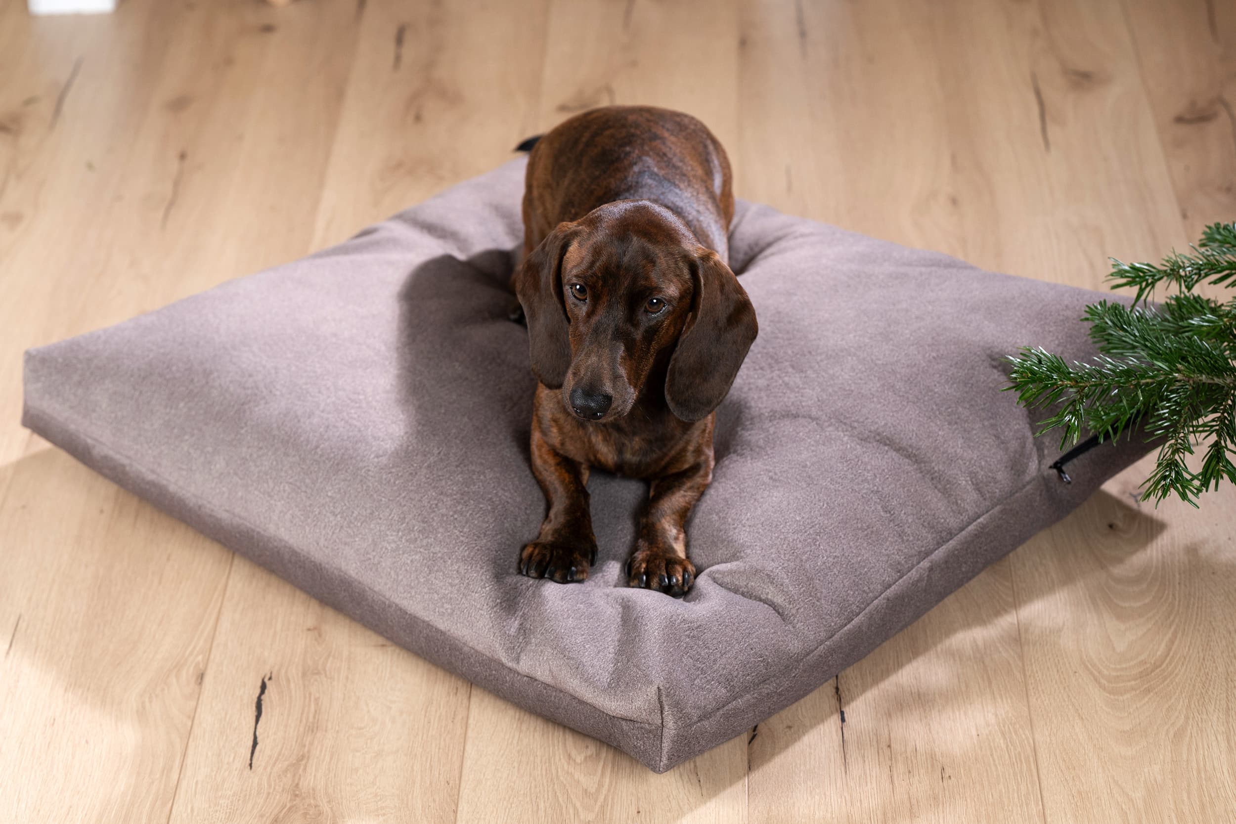 Mattress Cover BUFFALO L - BUFFALO