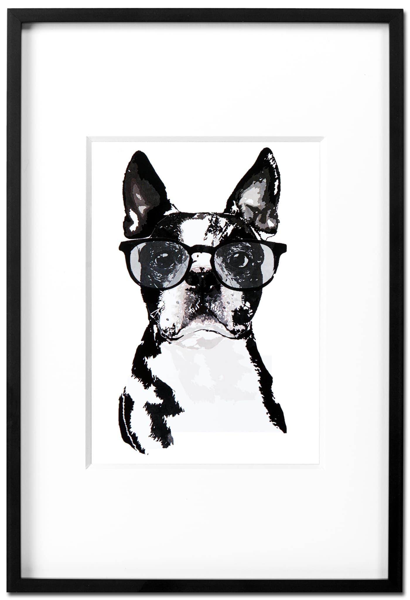 Boston Terrier Churchill - Kunstdruck