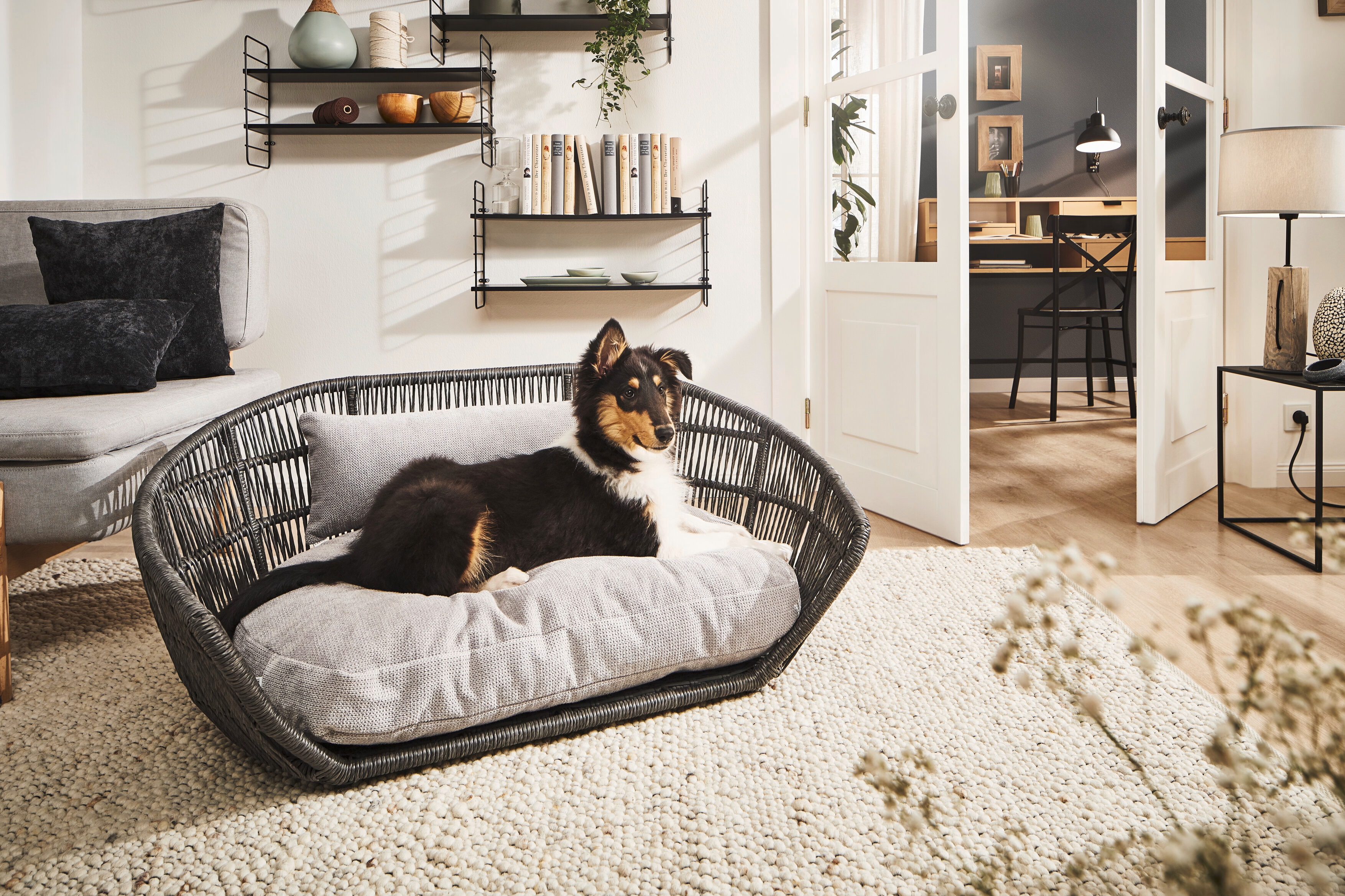PRADO - Design-Hundebett TUDOR
