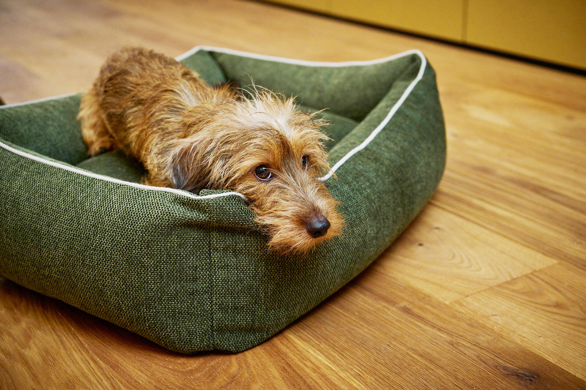 CLASSIC Hundebett - ECO