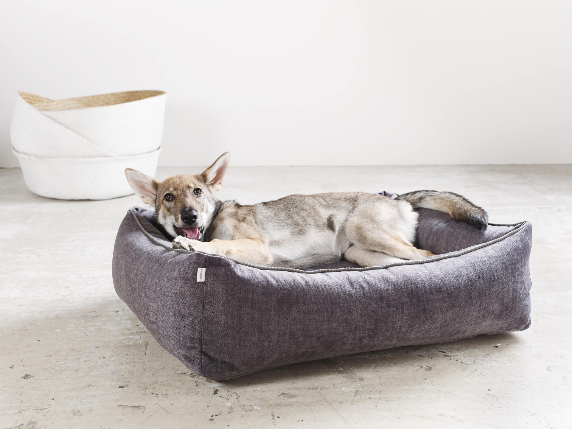 CLASSIC Hundebett - GLAM