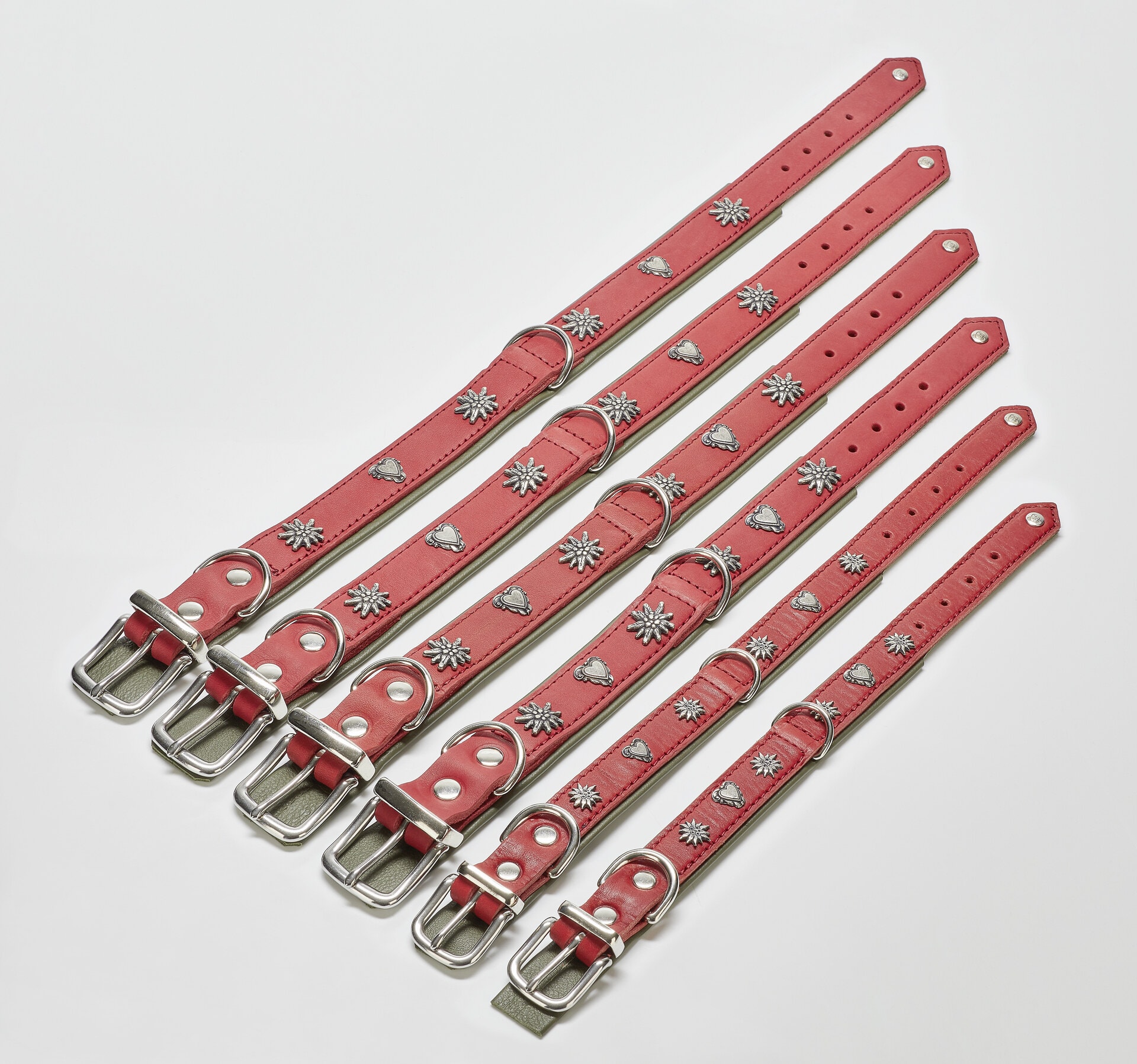 EDELWEISS - Elegantes Hundehalsband mit stilvollen Applikationen