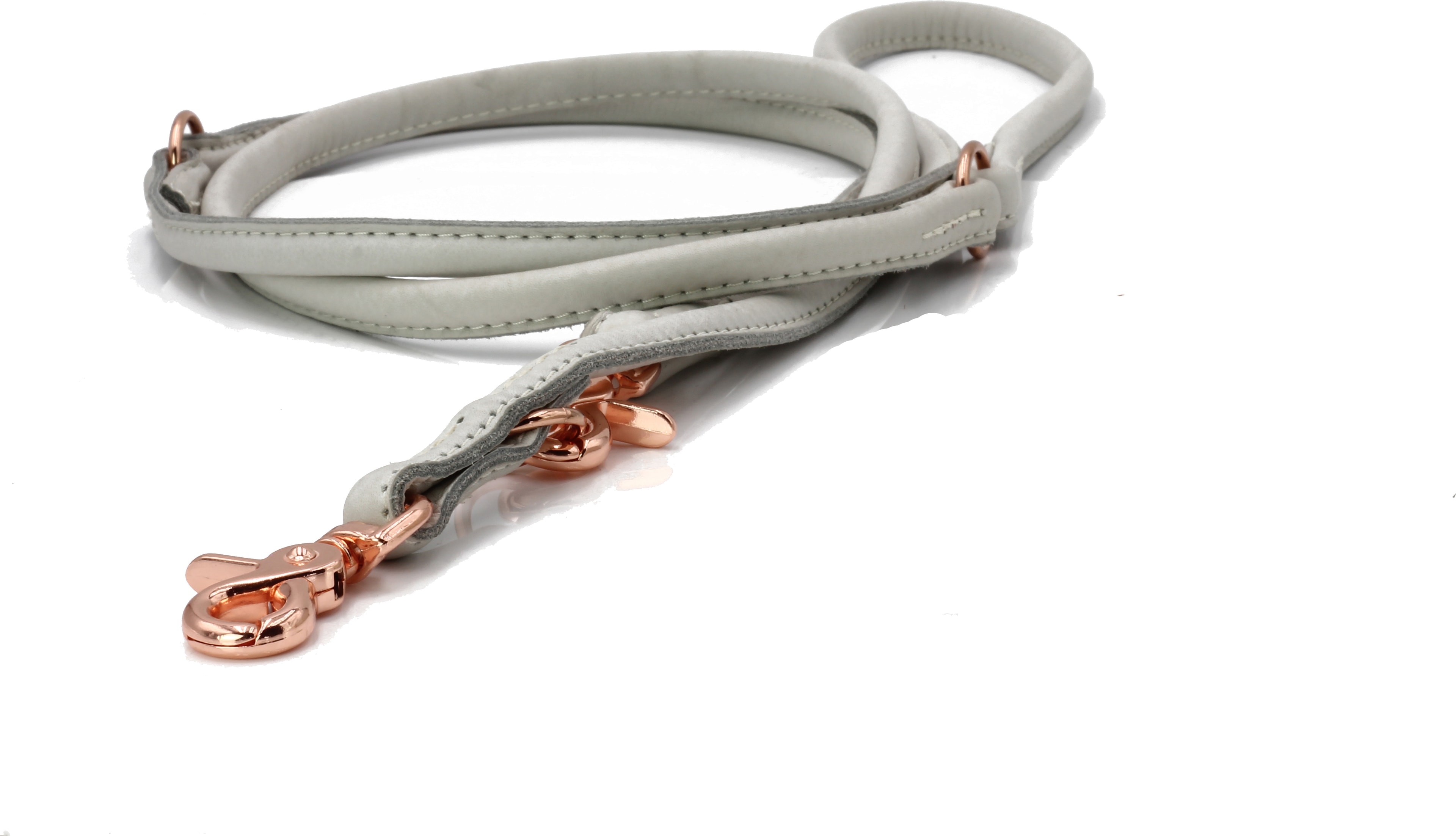 AMICI - Elegante Rundleine für modebewusste Hundefreunde