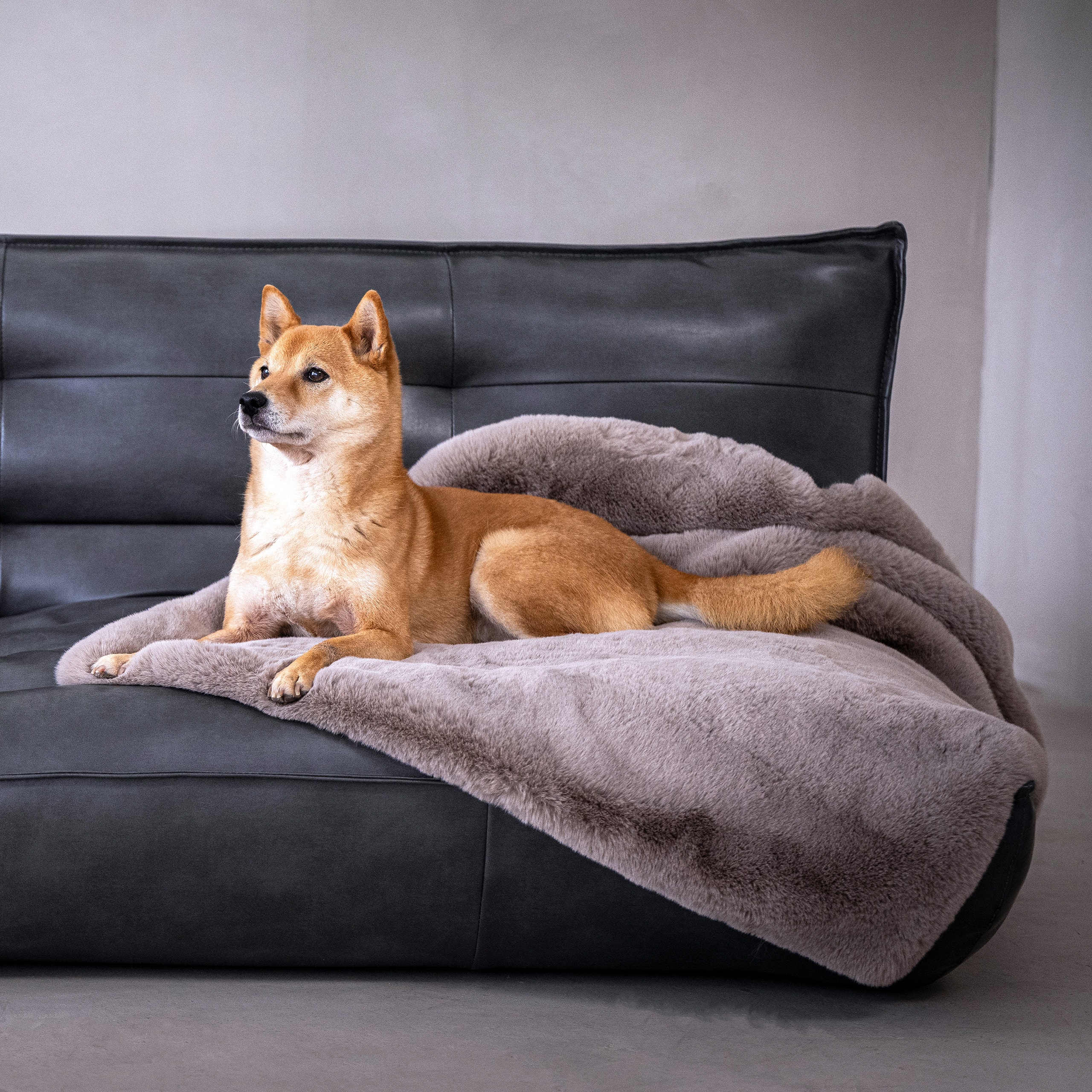 Decke SOFT AFFAIR - Luxus-Kuscheldecke