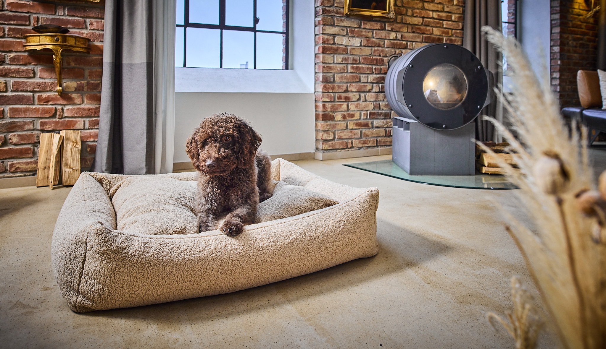 Hund in einem cremefarbenen LABONI TEDDY Hundebett