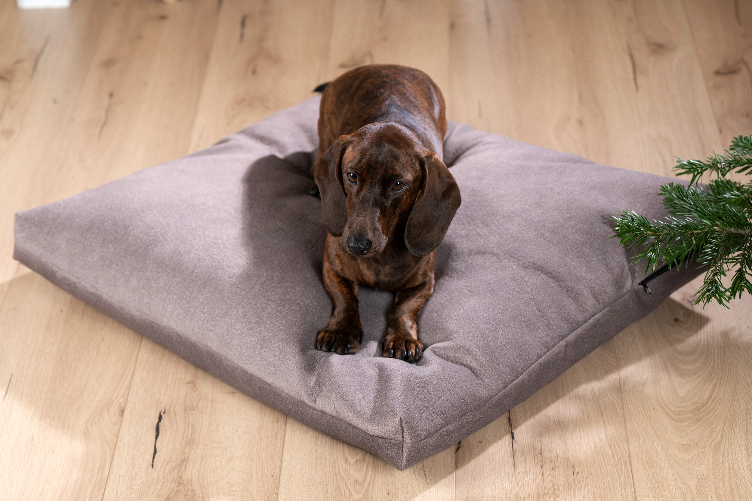 Mattress Cover BUFFALO L - BUFFALO