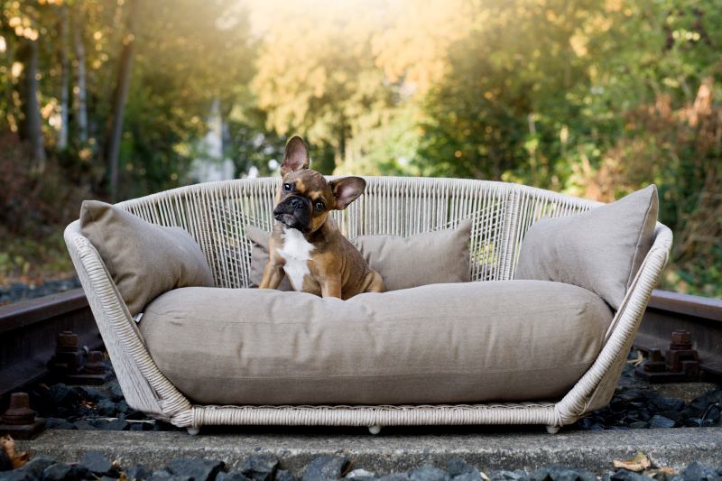 MAMMA MOO – Hundespielzeug aus Baumwolltau im Kuh-Design