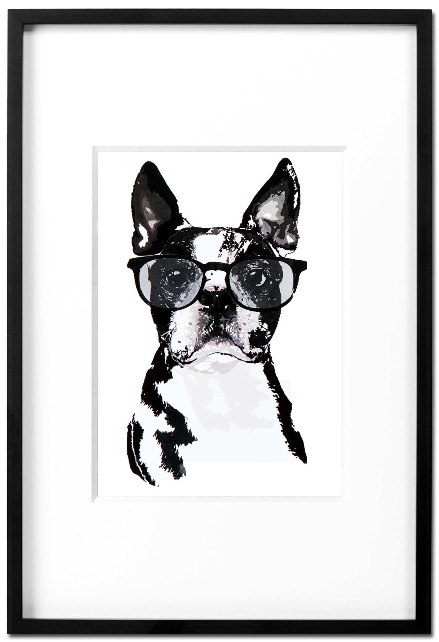 Boston Terrier Churchill - Kunstdruck